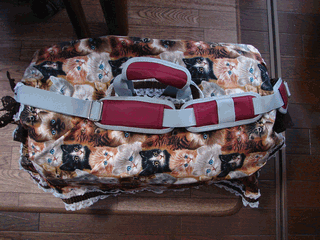 c0136736_19443370.gif