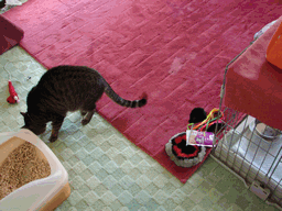 c0136736_1947724.gif