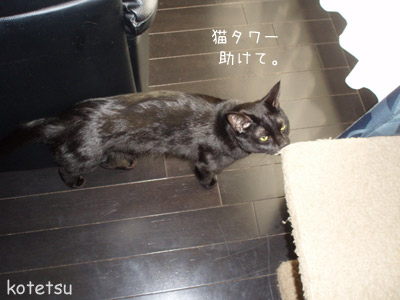 c0132438_20101811.jpg
