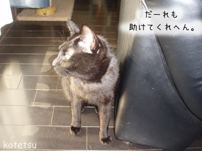 c0132438_2010406.jpg