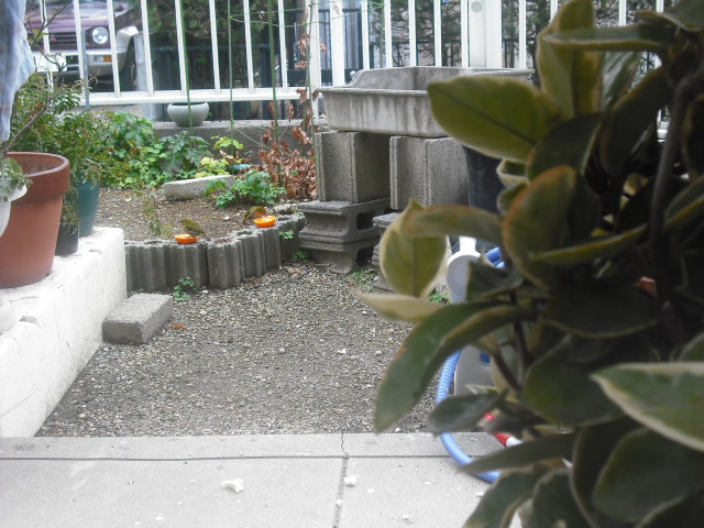 c0194042_2016814.jpg