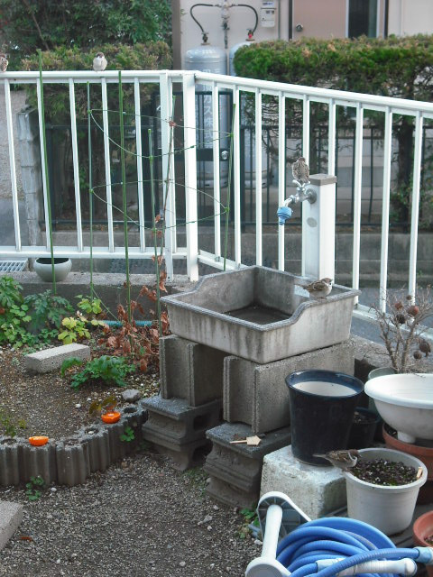 c0194042_2025037.jpg