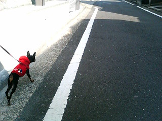 e0150843_188233.jpg