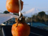 c0122445_1359772.jpg