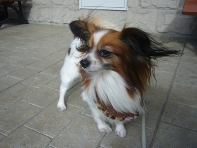 e0100046_20242977.jpg