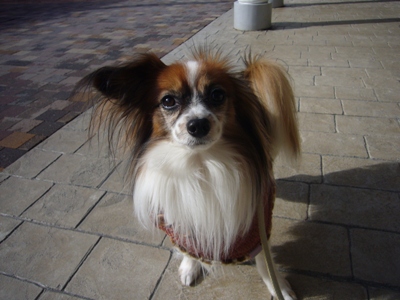 e0100046_20263182.jpg