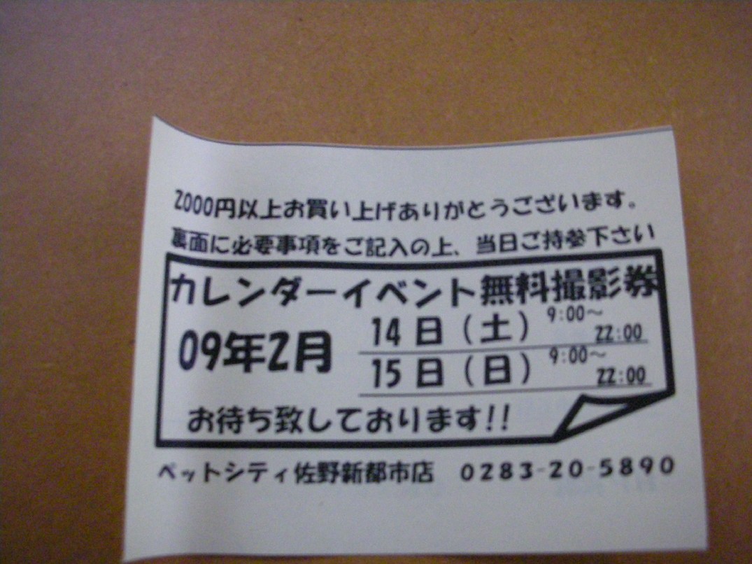 b0140347_20362894.jpg