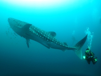e0027447_20123746.jpg
