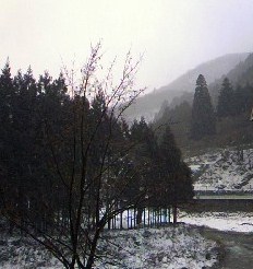 f0096147_1744046.jpg