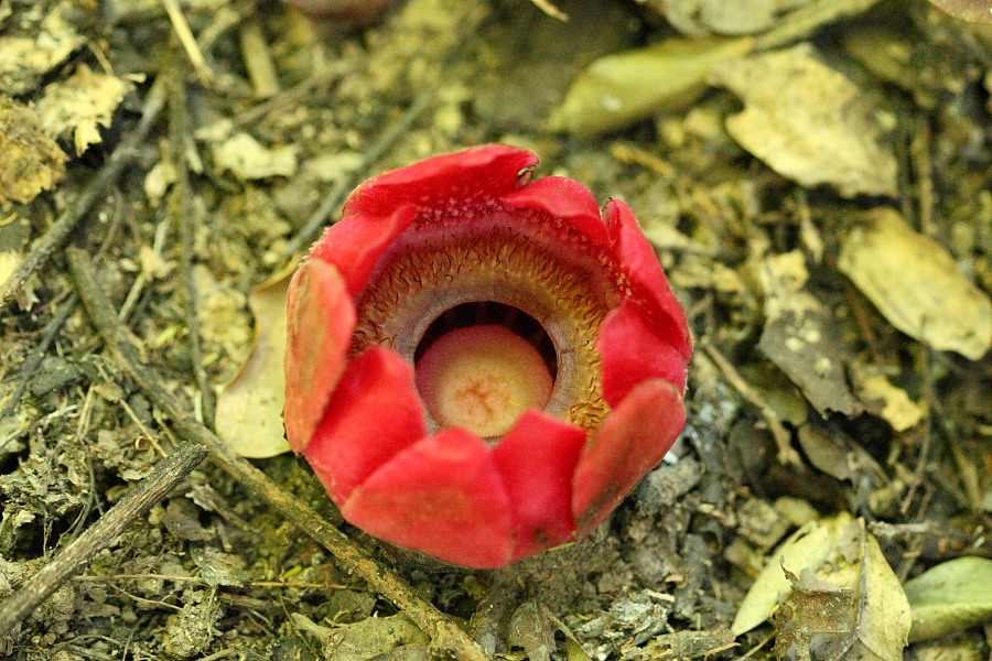 a0094850_19552198.jpg