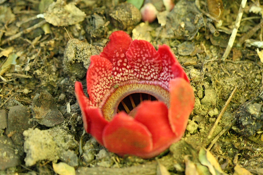 a0094850_19554068.jpg