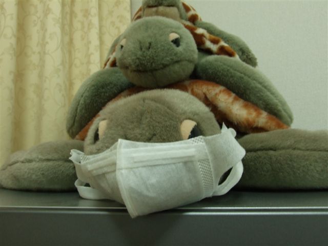 b0153451_2238100.jpg