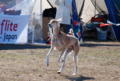 f0140454_2330128.jpg