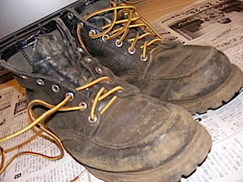 f0000655_62122.jpg
