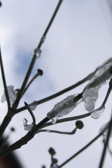 e0068962_14431150.jpg