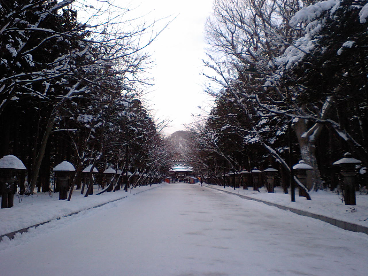 d0098665_17374731.jpg