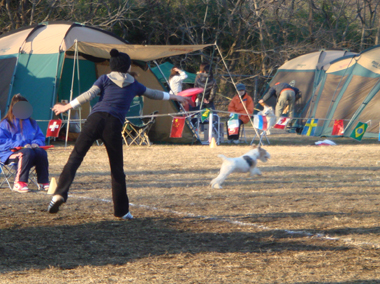 b0091373_3145624.jpg