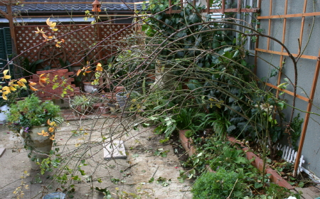 e0154682_2223582.jpg