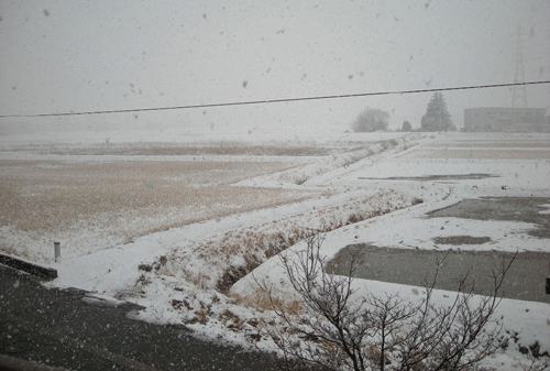 e0066883_21232845.gif