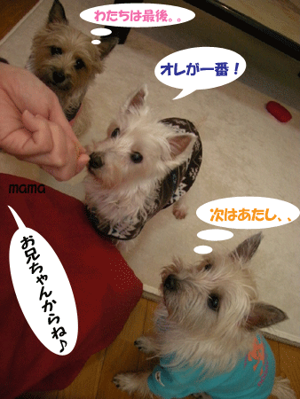 e0066883_2144459.gif