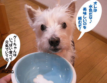 e0066883_22101889.gif