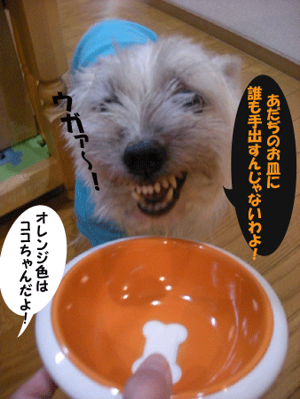 e0066883_22105297.gif