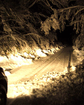 d0088788_22405726.jpg