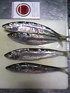 f0191888_2026214.jpg