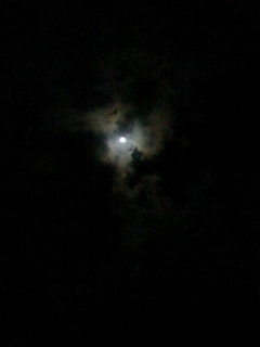 e0148989_144881.jpg