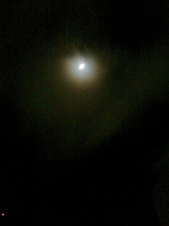 e0148989_144894.jpg