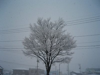 f0047693_23164896.jpg