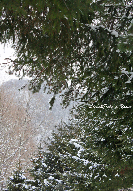 f0001895_15351213.jpg