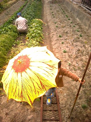 c0050896_0202511.jpg
