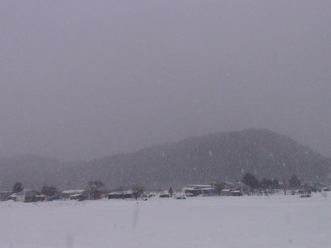 d0085096_1839547.jpg