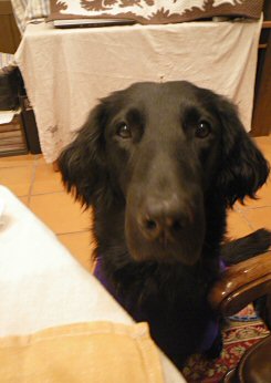 c0050400_215553.jpg