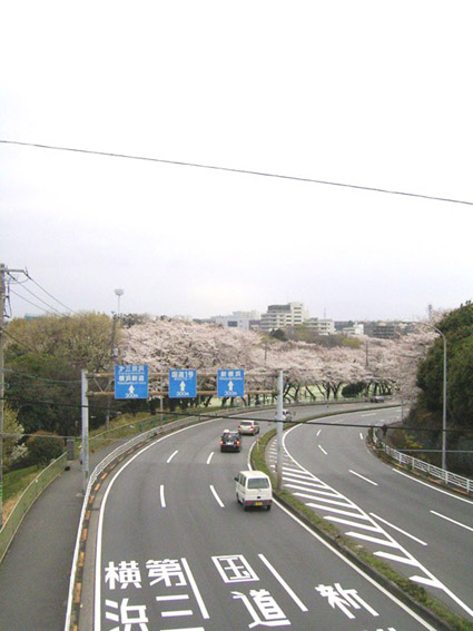 e0043700_2126369.jpg