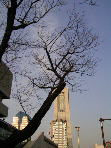 e0043700_21362884.jpg
