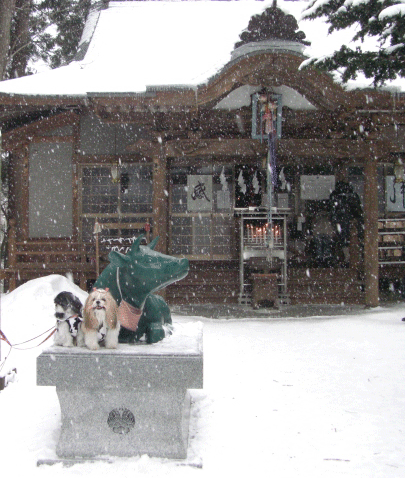 e0050801_0114472.gif