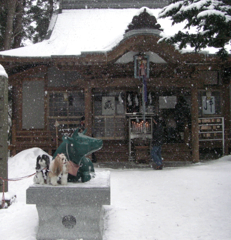 e0050801_012597.gif
