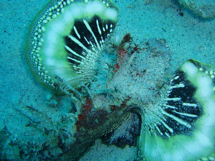e0162304_20314141.jpg