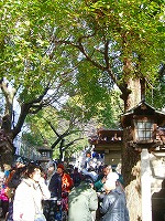 c0148705_18441157.jpg
