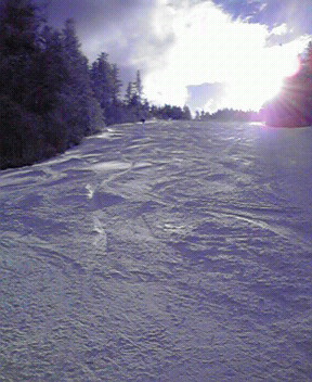 c0014906_23533372.jpg