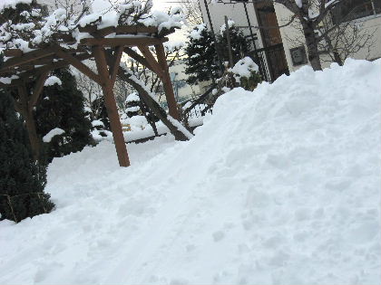 f0041606_20183329.jpg