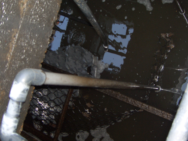 b0159611_22172387.gif