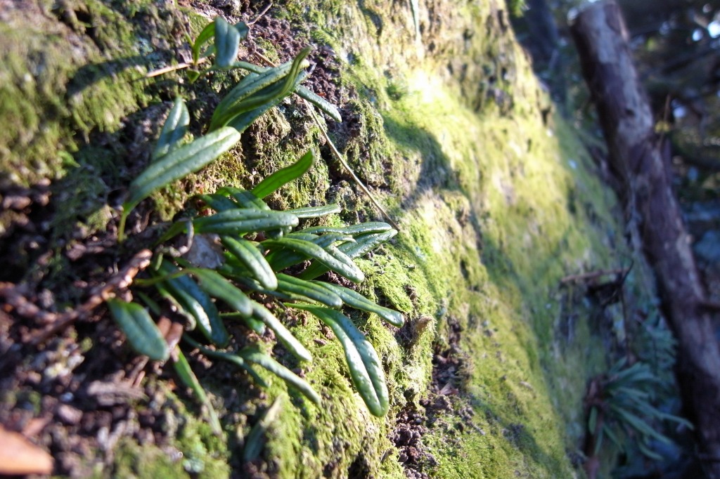 b0075912_21454039.jpg