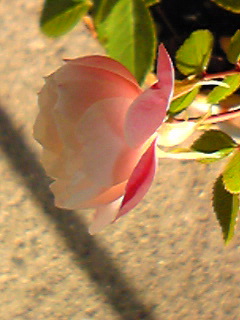 e0092614_21324965.jpg