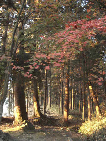 e0110719_17271992.jpg