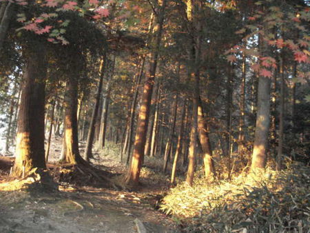 e0110719_1826184.jpg