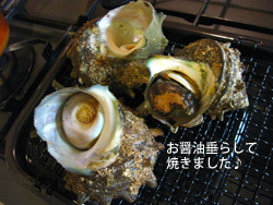 c0012120_073341.jpg