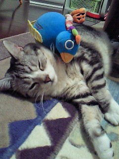 d0030521_0213785.jpg